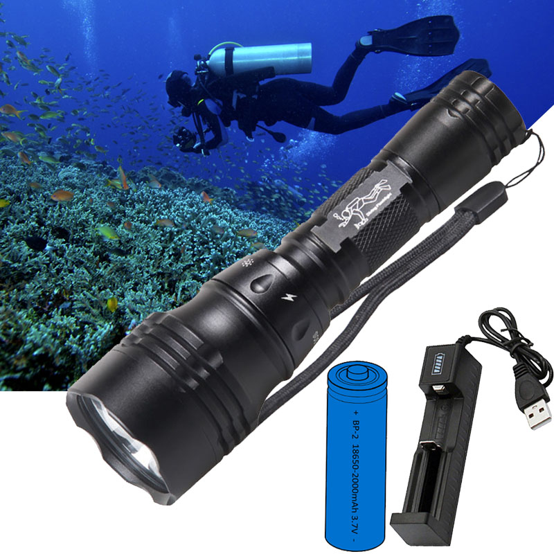 Lampada Subacquea Portatile 10 - Fish Finder Charger recensione e prezzo
